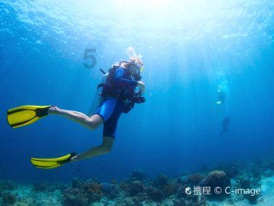 浙江省政协委员贺凯琪：厚植澳门青少年爱国情怀