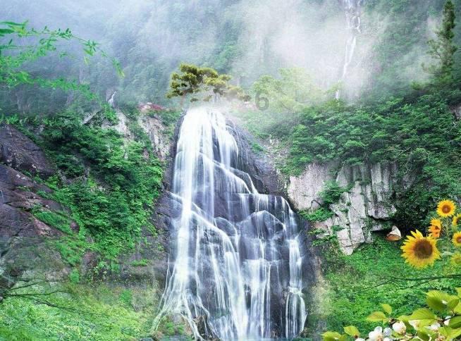 司马懿立遗嘱:后代不许为我扫墓,过了1769年,才知他的老奸巨猾